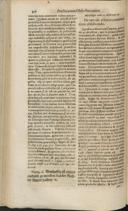 Seite 224