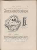 Seite 232