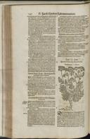 Seite 160