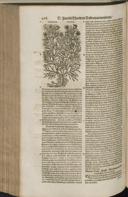 Seite 426