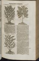 Seite 433