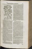 Seite 481