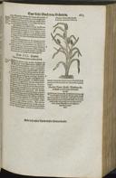 Page 681