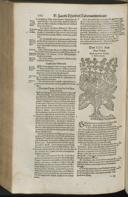 Page 782