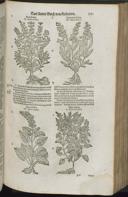 Page 783