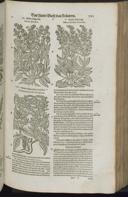 Page 787