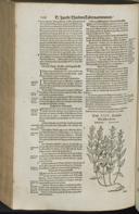 Page 788