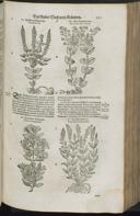 Page 793