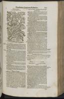 Page 887