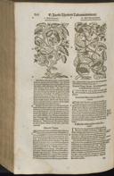 Page 888