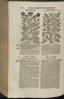 Page 890