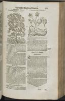 Page 891