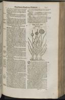 Page 893