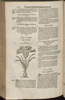Seite 1026
