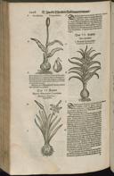Seite 1030