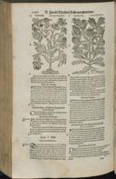Seite 1088