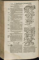 Seite 1136