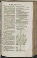 Seite 1145