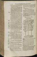 Seite 1158