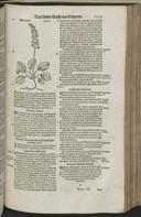 Seite 1161