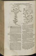Seite 1162
