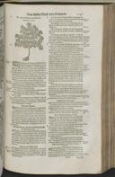 Seite 1167