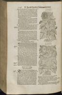 Seite 1168