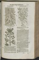 Seite 1169
