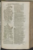 Seite 1171
