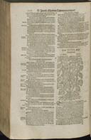 Seite 1174