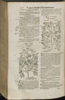 Seite 1178