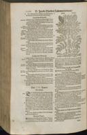 Seite 1182