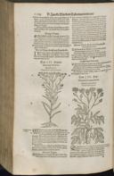 Seite 1186