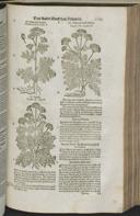 Seite 1191