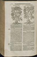 Seite 1194