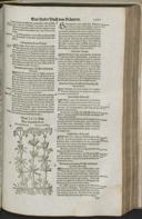 Seite 1223