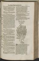 Seite 1233