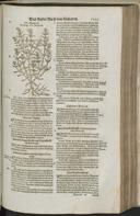 Seite 1245
