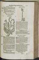 Seite 1253