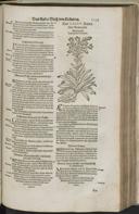 Seite 1261
