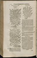 Seite 1262