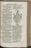 Seite 1263