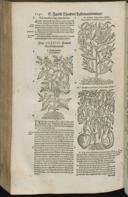 Seite 1264