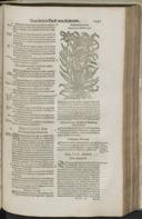 Seite 1267