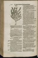 Seite 1268