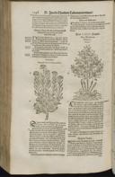 Seite 1270