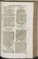 Seite 1271