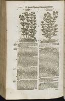 Seite 1272