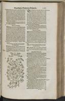Seite 1287