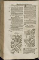 Seite 1288